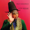 CAPTAIN BEEFHEART & HIS MAGIC BAND / Trout Mask Replica