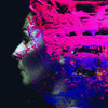WILSON, STEVEN / HAND.CANNOT.ERASE