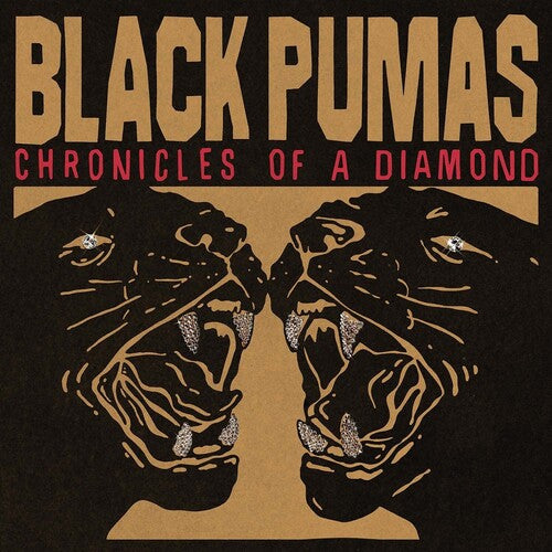 BLACK PUMAS / Chronicles Of A Diamond