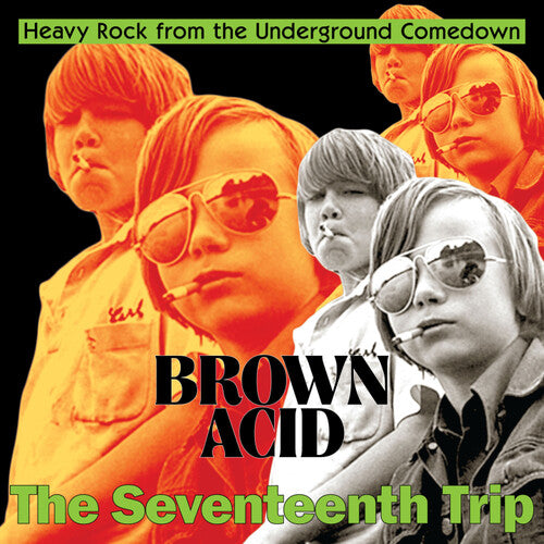 BROWN ACID / The Seventeenth Trip (Various Artists)