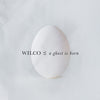 WILCO / A Ghost Is Born [2025 Edition]