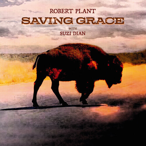 PLANT, ROBERT / Saving Grace