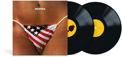 BLACK CROWES / Amorica.
