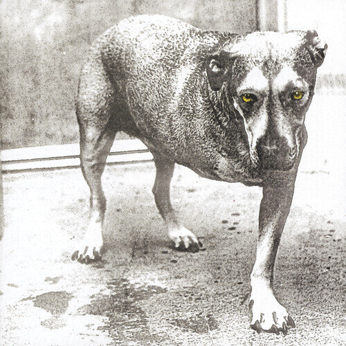 ALICE IN CHAINS / Alice In Chains