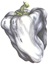 Load image into Gallery viewer, WEEN / White Pepper
