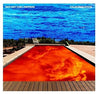 RED HOT CHILI PEPPERS / Californication (180-gram)