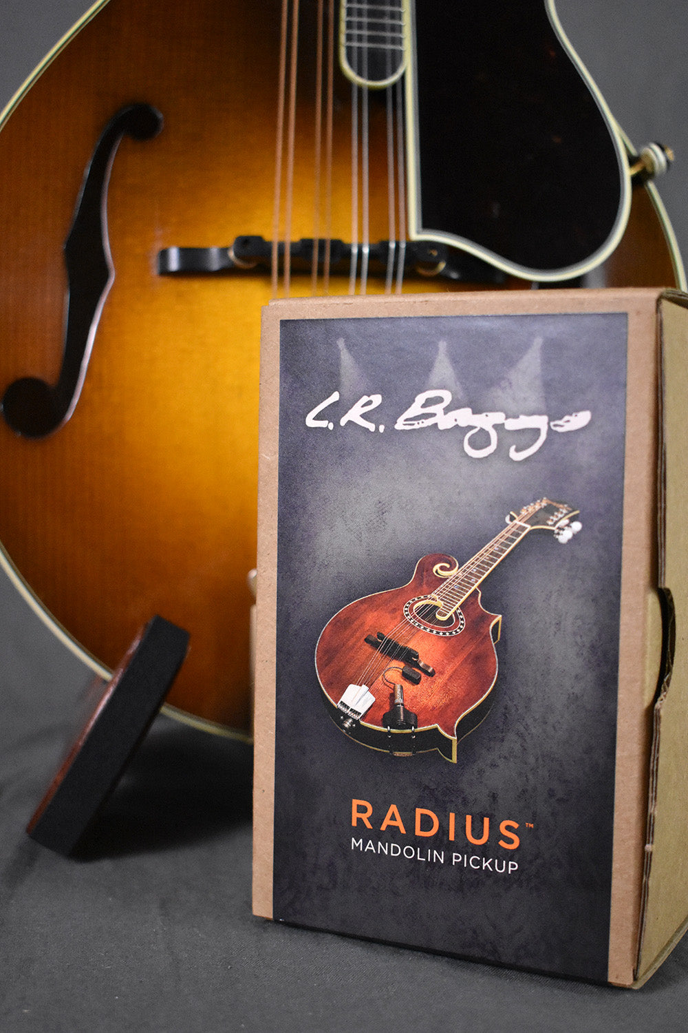新品 未開封 L.R.Baggs Radius Mandolin Pickup