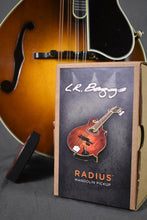Load image into Gallery viewer, LR Baggs Radius-M Mandolin Pickup