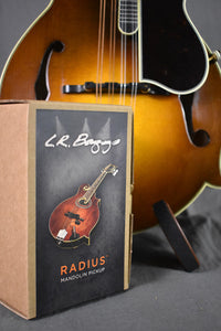 LR Baggs Radius-M Mandolin Pickup