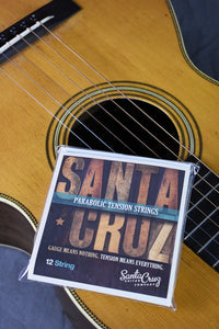 Santa Cruz Parabolic Tension Strings 12-String