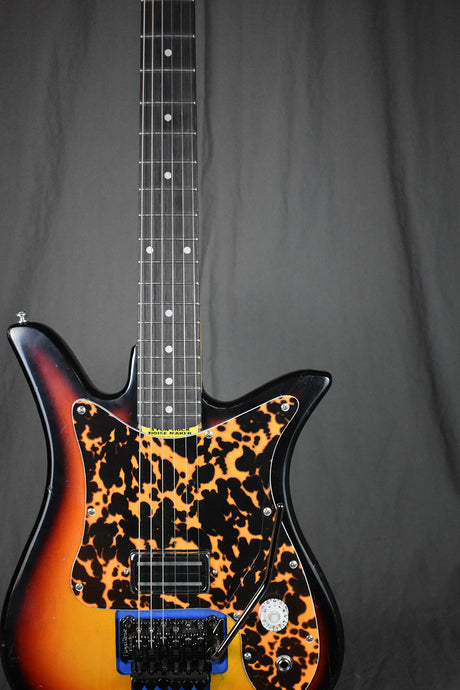 Malinoski Rose Tulip ('60s Teisco E-110 Tulip w/ Floyd Rose Tremolo)