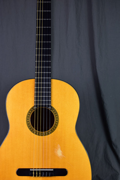 1971 Martin N-20 w/ LR Baggs Element
