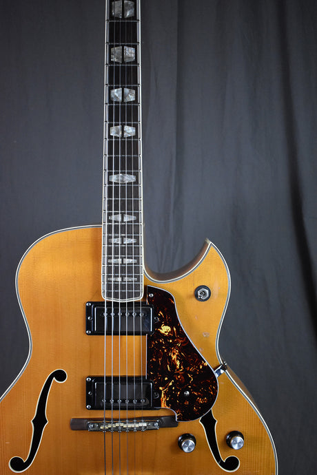 1974 Yamaha AE-11 Natural