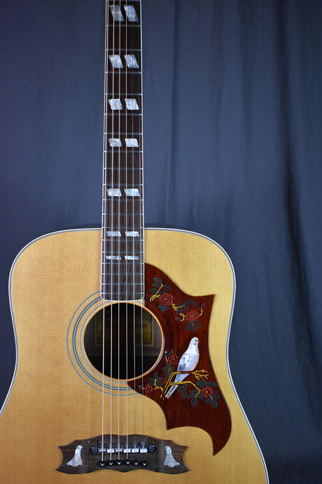 1977 Alvarez 5024 Dove