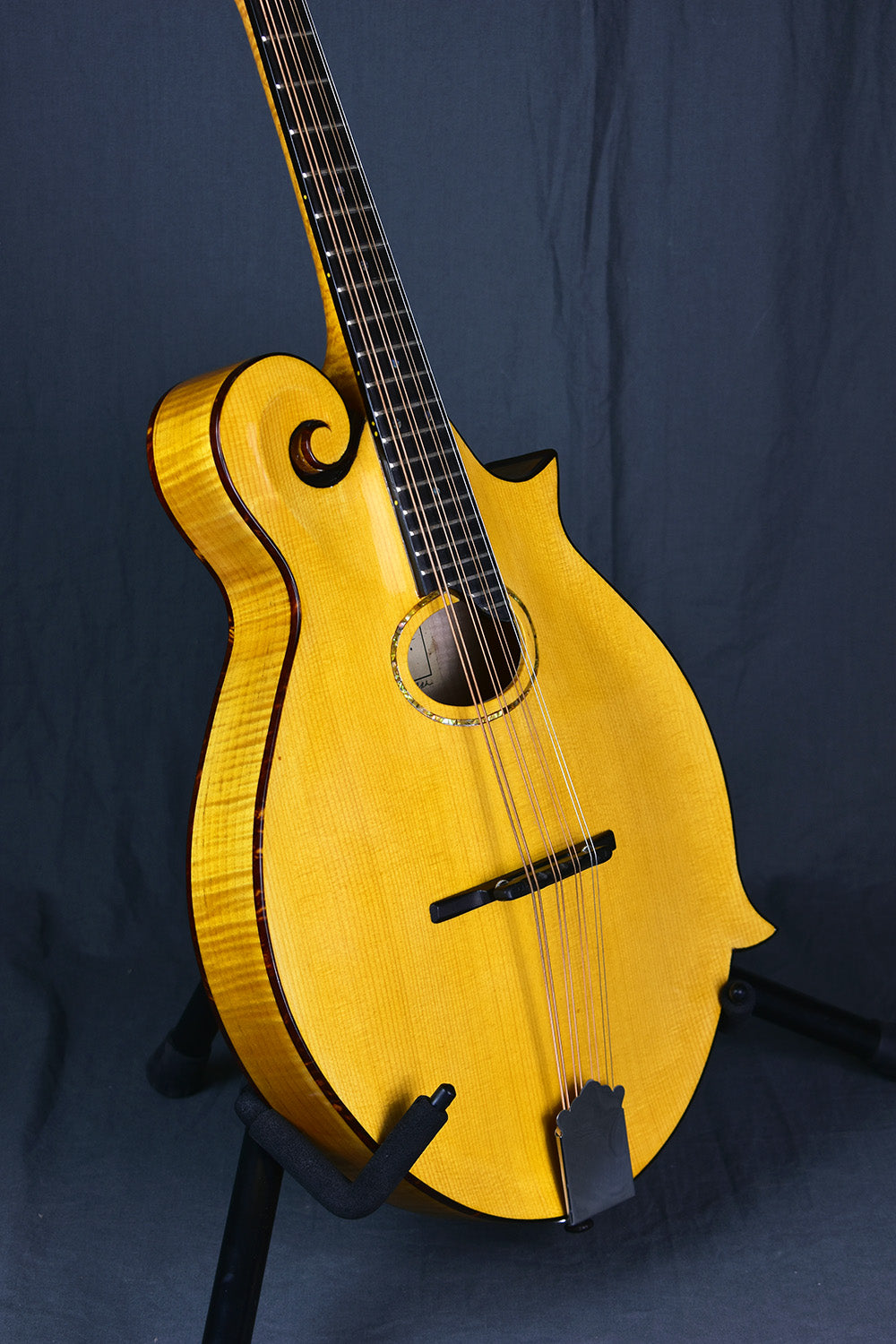 2000 Old Wave Mandola – Telluride Music Co.