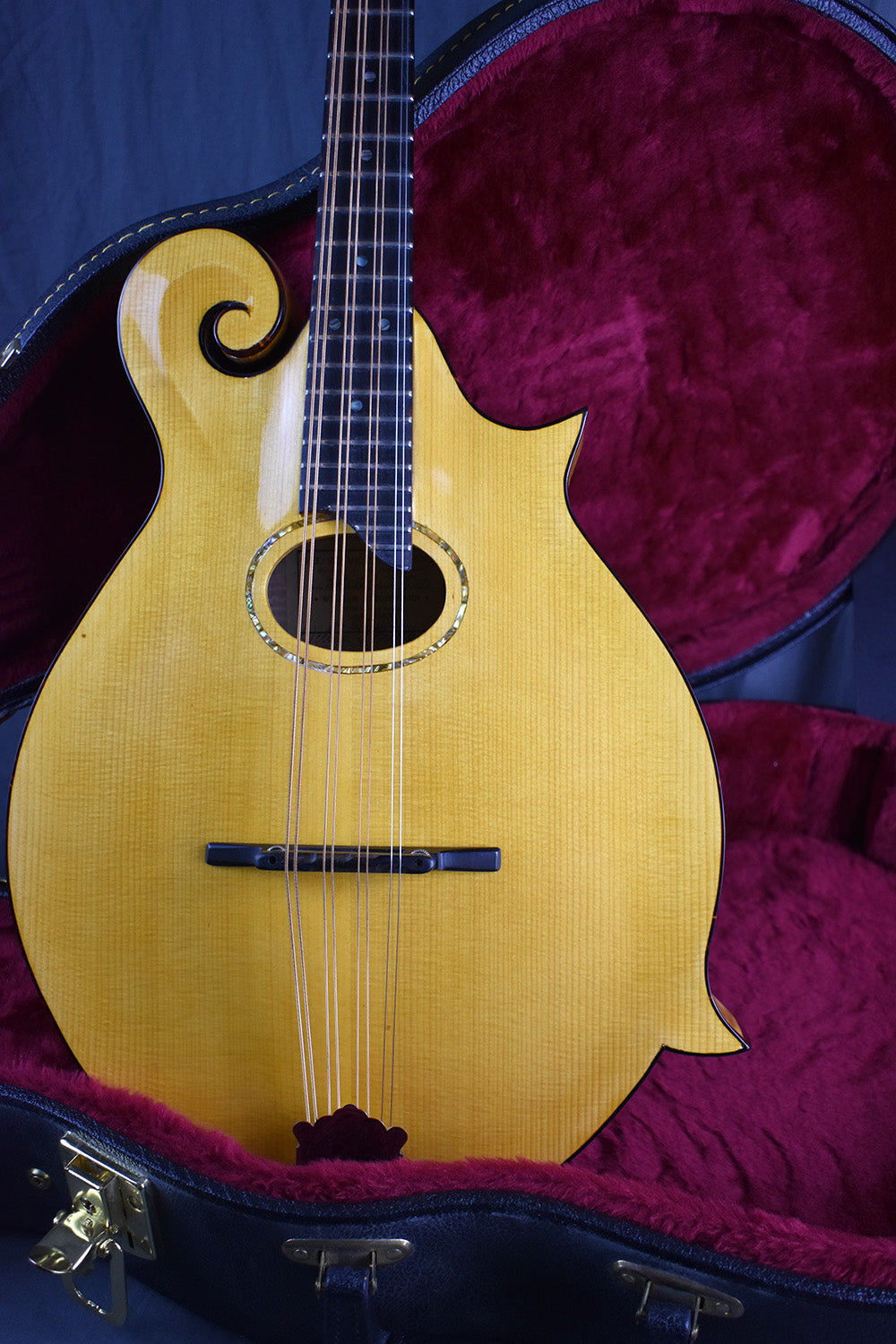 2000 Old Wave Mandola – Telluride Music Co.