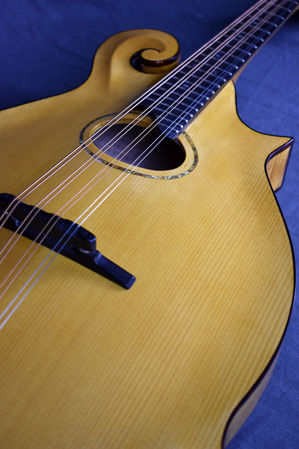 2000 Old Wave Mandola – Telluride Music Co.