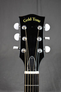 2001 Goldtone CC-Banjitar w/ Pickup