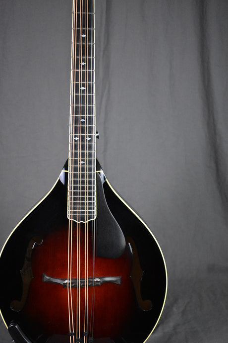 2006 Weber Absaroka Mandola