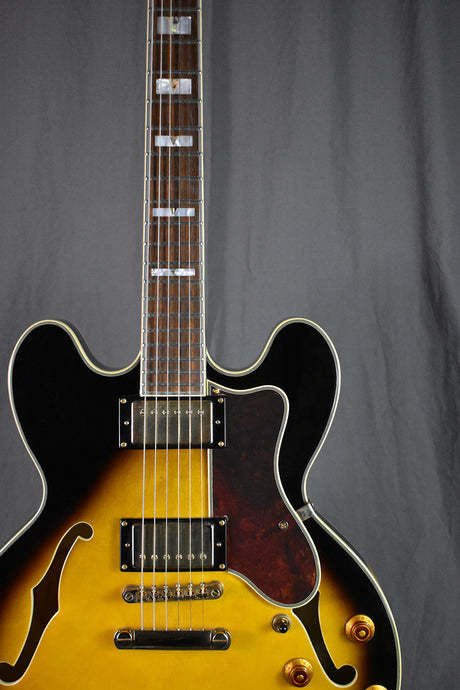 2009 Epiphone Sheraton II