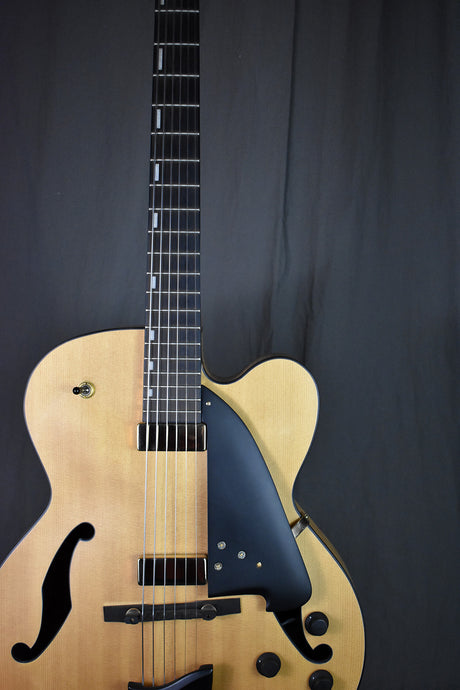 2017 Ibanez AFC95 Artcore Expressionist