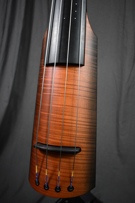 2017 NS Design NXTa Active Double Bass