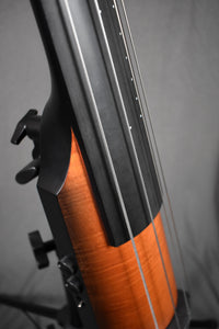 2017 NS Design NXTa Active Double Bass