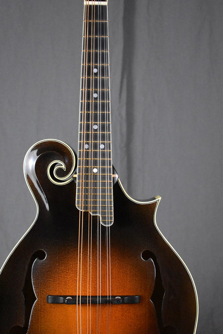 2018 Elkhorn F-5 Fern