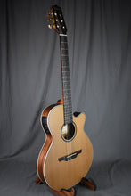Load image into Gallery viewer, 2020 Takamine TSP148NC Nylon Thinline