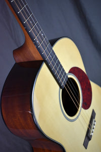 Gold Tone Mastertone TG-18: Tenor Guitar