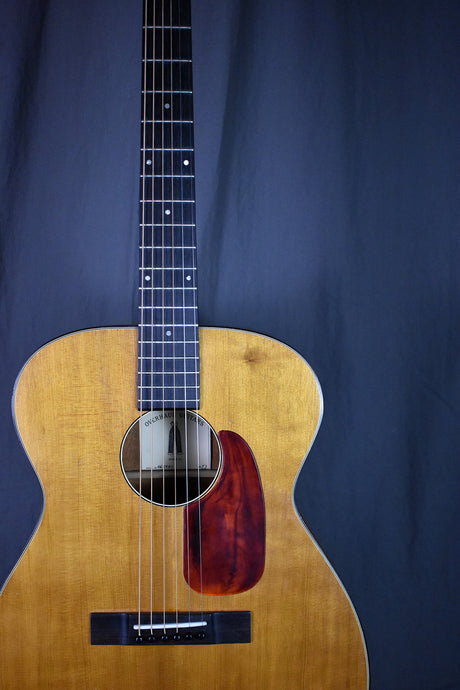 Overhaul '60s Harmony H162