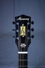 Load image into Gallery viewer, Overhaul &#39;60s Harmony H162