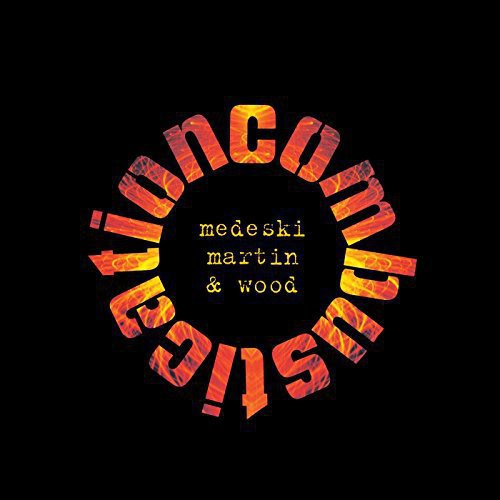 MEDESKI MARTIN & WOOD / Combustication