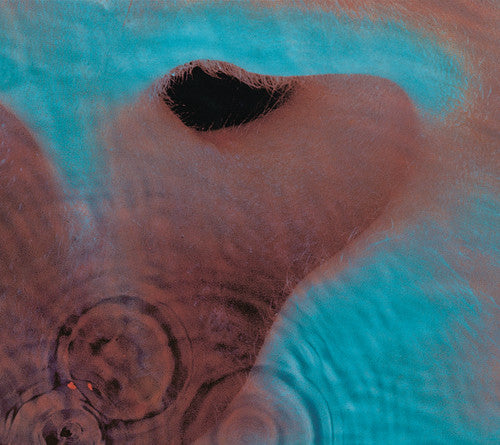 PINK FLOYD / MEDDLE