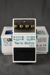 2013 Boss TE-2 Tera Echo