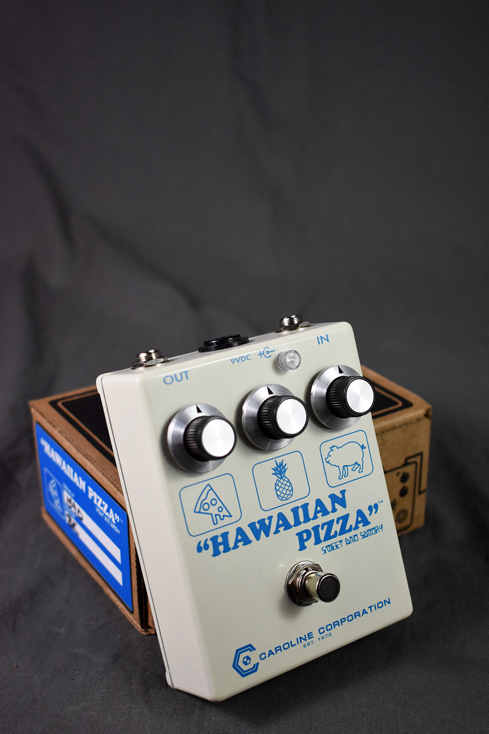 Hawaiian Pizza Sweet And Savory – Telluride Music Co