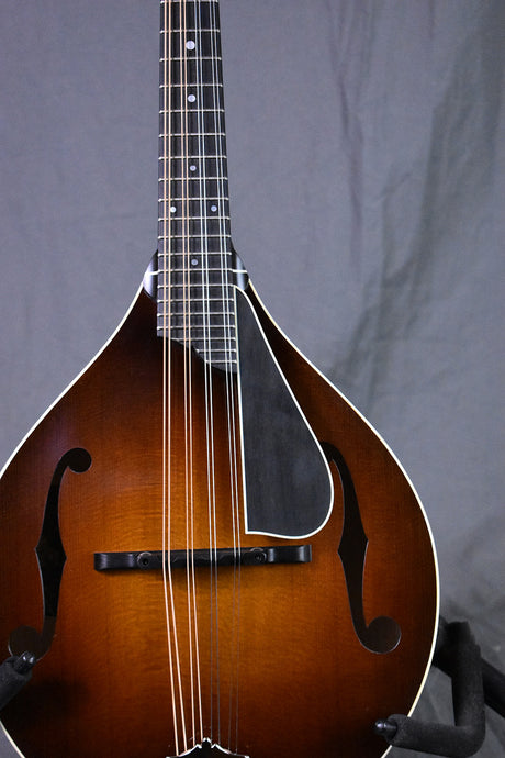 Collings MT Torrefied