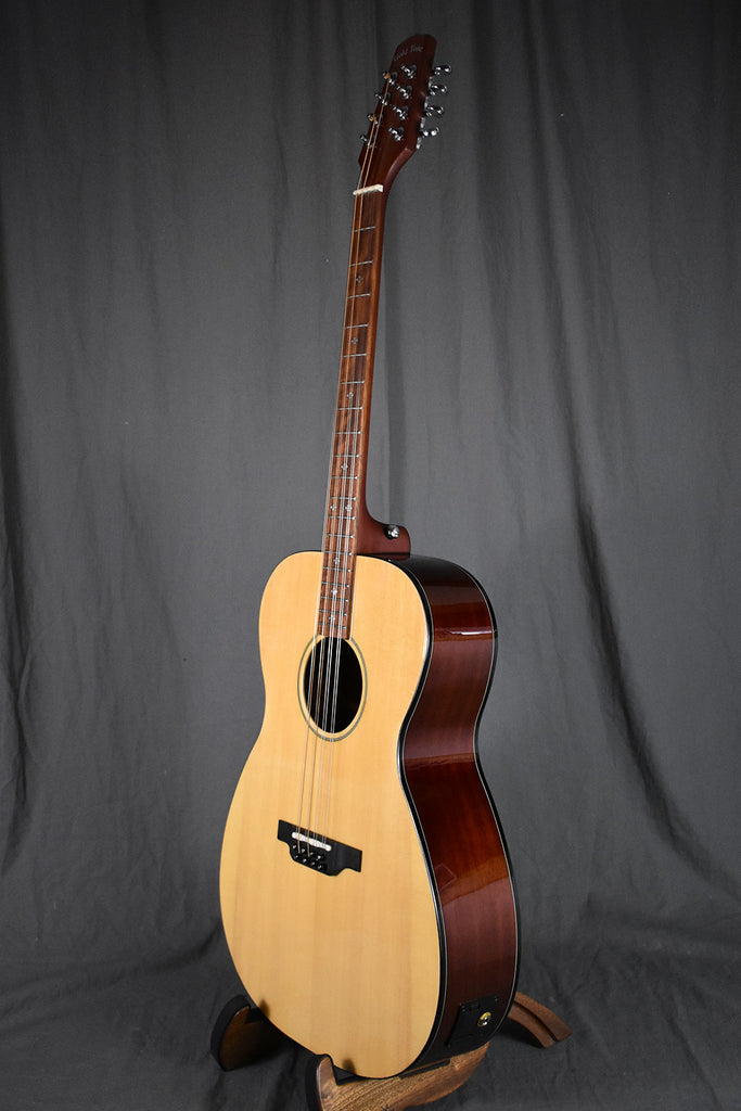 Gold Tone BZ1000 GuitarBody Irish Bouzouki Telluride Music Co.