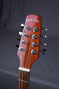 Gold Tone BZ-1000 Guitar-Body Irish Bouzouki