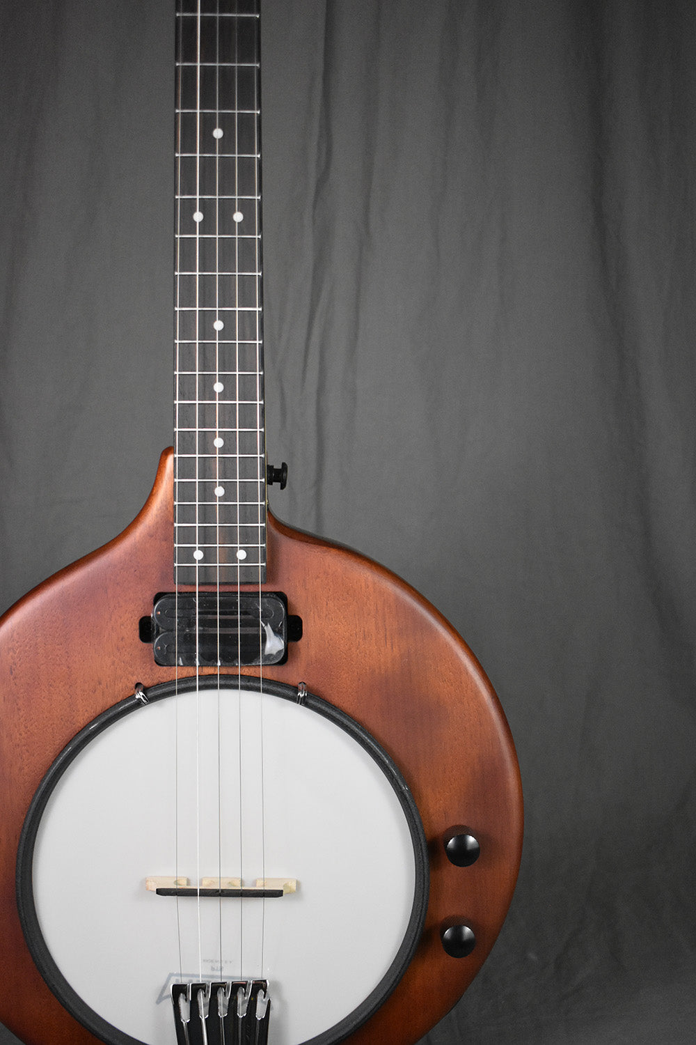 Gold Tone EB-5 Electric Banjo