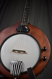 Gold Tone EB-5 Electric Banjo