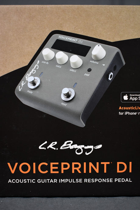 LR Baggs Voiceprint DI