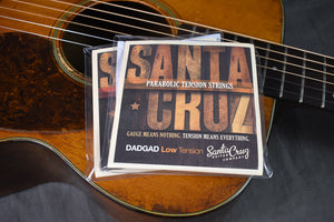 Santa Cruz Parabolic Tension Strings for DADGAD Tuning